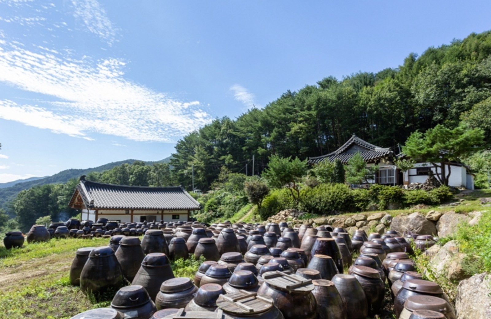 Reihen von Tonkrügen (Jangdokdae) auf einer Terrasse am Fuß des Jiri-Gebirges, im Hintergrund ein traditionelles Hanok